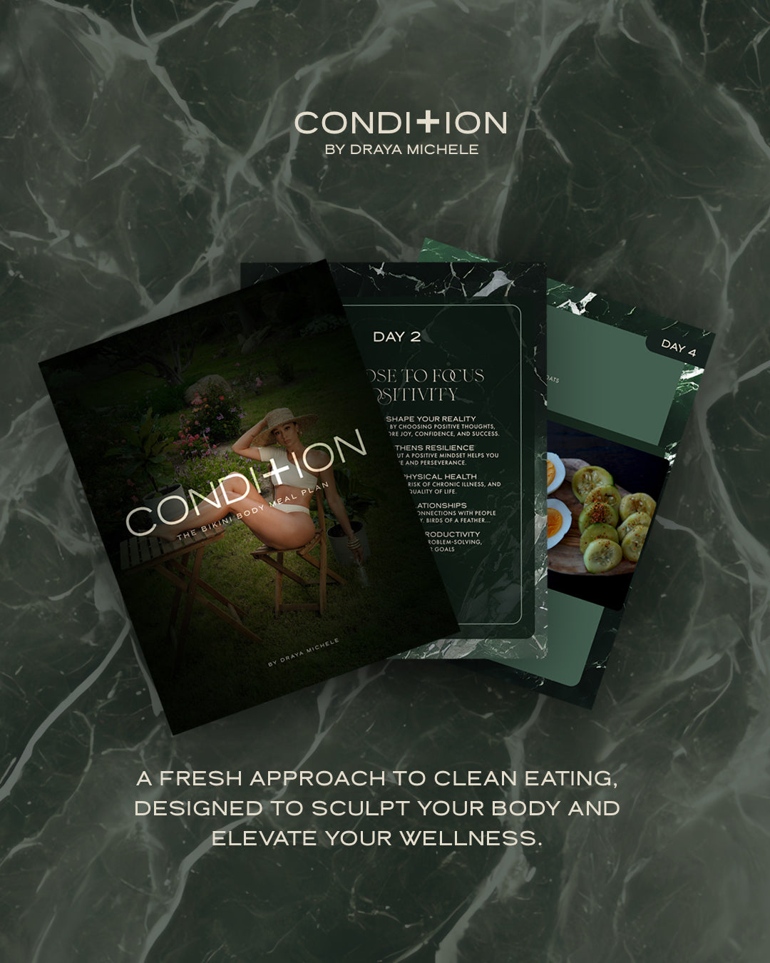 CONDITION The Bikini Body Meal Plan